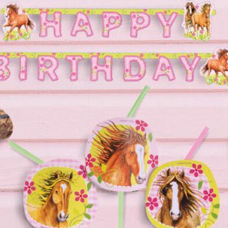 Pferde-Geburtstag