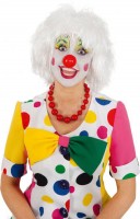 Polov Clown Perücke