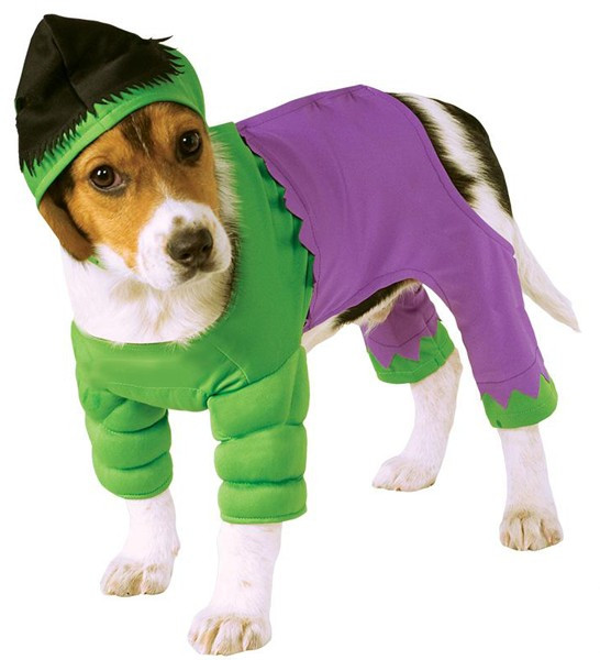 Hulk Kostüm Für Hunde