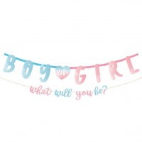 2 Boy or Girl Girlanden