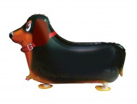 XL Airwalker Ballon Dackel Susi 70 x 44cm