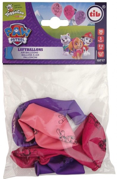 5 Paw Patrol Friends Luftballons Skye 30cm 2