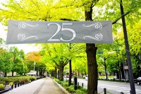 Silberhochzeits Banner 1.8m x 40cm