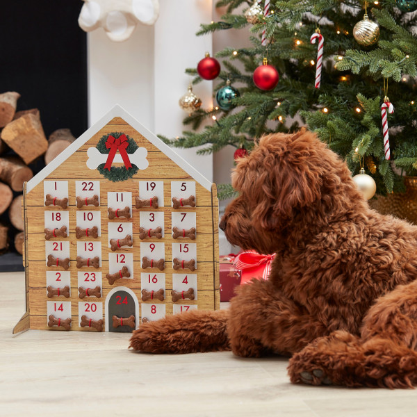 Doghouse Adventskalender