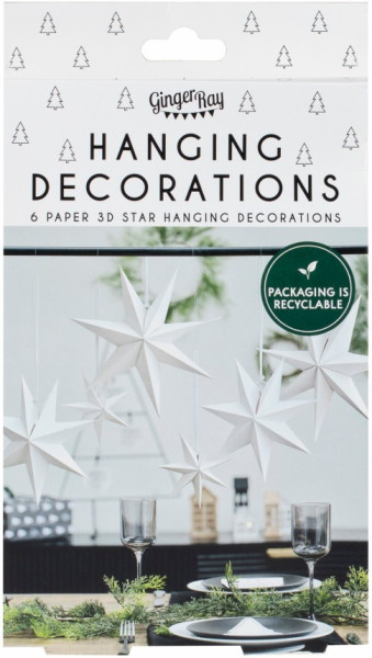 6 Eco Sternenhänger 3D White Star 3