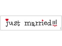 Just Married Nummernschild 11,5 x 50cm