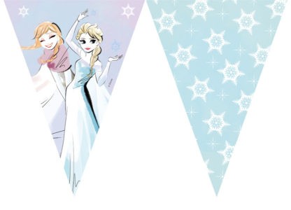 Sparkled Frozen Wimpelkette 2,3m