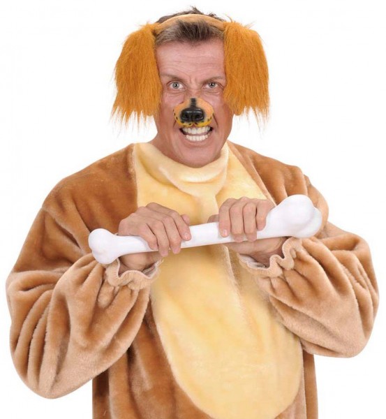 Cocker Spaniel Ohren Bruno