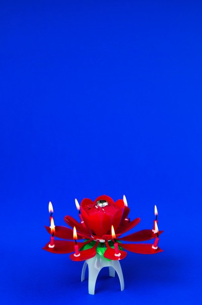 Tischfeuerwerk Geburtstags-Blume 4