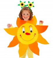 Vorschau: Gerbera Blumenhaarreif