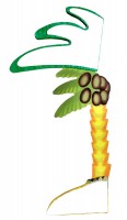 Hawaii Party Palme 48 cm