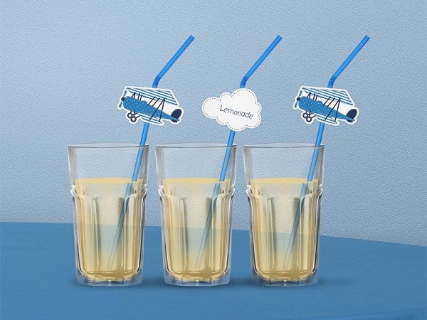 6 Little Plane Party Strohhalme 24cm 3