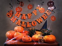 Crazy Pumpkin Girlande 2,1m x 13cm