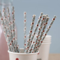 Vorschau: 25 Patchwork Eulen Trinkhalme