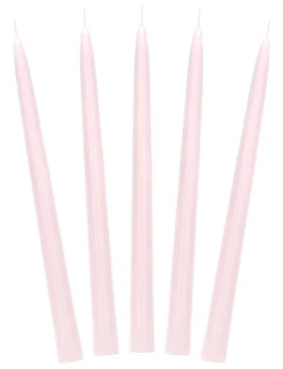 10 Stabkerzen Firenze hellrosa 24cm