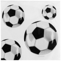 20 Fußball Fan Servietten 33cm
