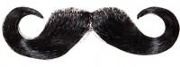 Francois Oberlippenbart In Schwarz