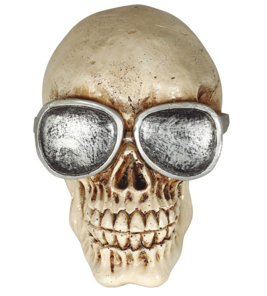 Schädel mit Brille