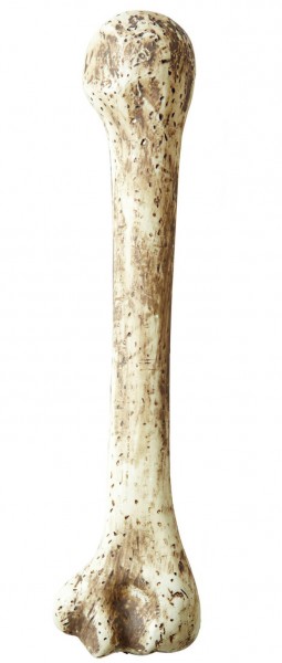 Neandertaler Knochen 36cm Bonius