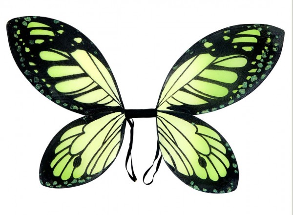 Butterfly Fairy Wings Green