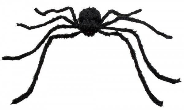 Schaurige langbeinige Spinne mit roten Augen