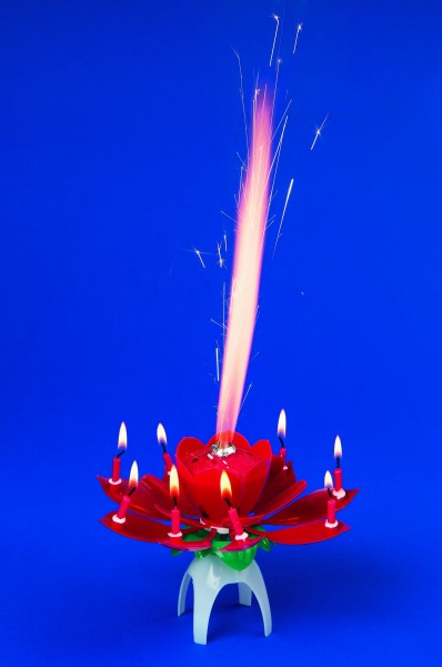Tischfeuerwerk Geburtstags-Blume 5