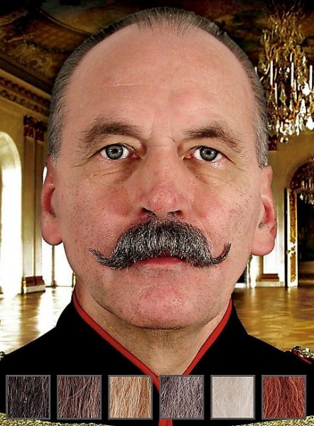 König Friedrich Echthaar Schnurrbart