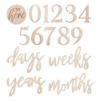 17 Little Darling Milestone Holz Elemente