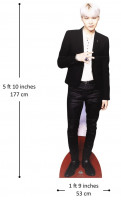 BTS Suga Pappaufsteller 1,77m
