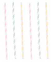 12 Pastell Geburtstag Papier Strohhalme 24cm