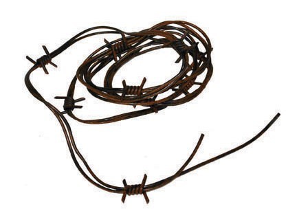 Halloween Stacheldraht Dekoration 2,4m