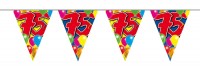 Spectacular 75th Birthday Wimpelkette 10m