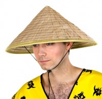 Chinesischer Spitzhut