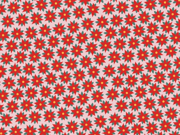 Weihnachtsstern Blumen Geschenkpapier 2m x 70cm