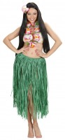 Bunte Hawaii Blumen Halskette