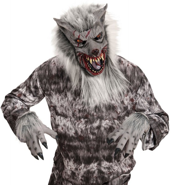 Werwolfkostüm Accessoires - Maske Und Handschuhe