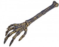 Unheimliche Skeletthand Valerie