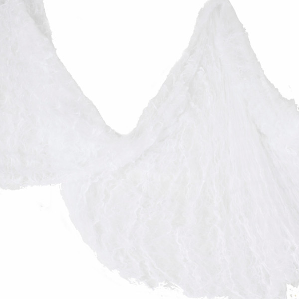 Haunted House Spinnennetz