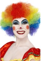 Kunterbunte Clownsperücke Rainbow