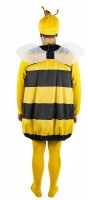 Förhandsgranskning: Bee Willi herrdräkt
