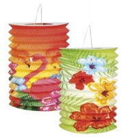 2 Bunte Hawaii Laternen 25 x 16cm