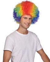Afro Perücke Carnival bunt