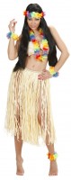 Vorschau: Kunterbunte Luau Partyaccessoires