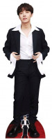 BTS J-Hope Pappaufsteller 1,78m