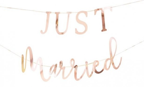 Best Day Just Married Girlande 3m