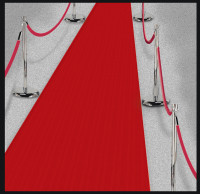 Roter Hollywood Teppich 4,5m