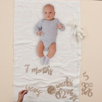 17 Little Darling Milestone Holz Elemente