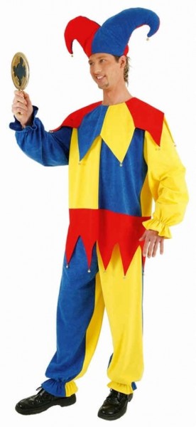 Hofnarr Harry Kostüm