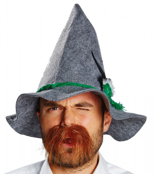 Riesenschnauzer Hansi