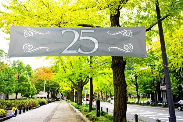 Silberhochzeits Banner 1.8m x 40cm